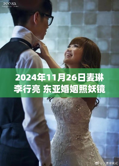 麦琳李行亮与东亚婚姻照妖镜,文化与情感的深度对话观察