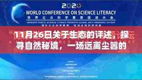 11月26日生态奇遇,探寻自然秘境的心灵之旅