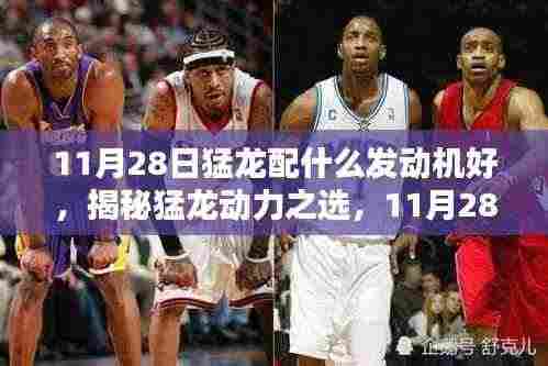 揭秘猛龙发动机配置,动力之选探讨,11月28日猛龙最佳发动机搭配解析