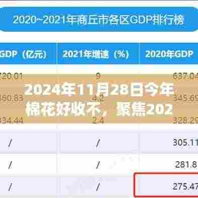 2024年棉花收成展望,品质、市场与气候的综合分析