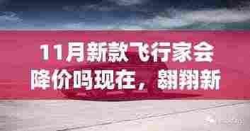 十一月新款飞行家市场命运与未来降价趋势,翱翔新纪元展望
