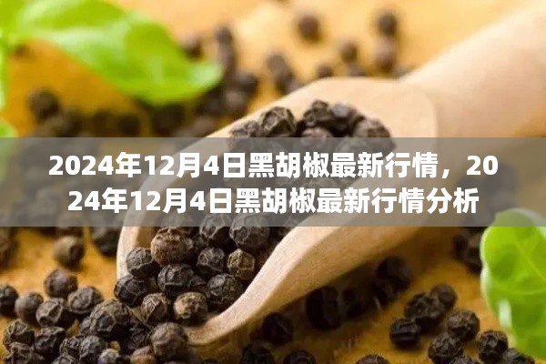 2024年12月4日黑胡椒行情深度分析,最新市场动态揭秘