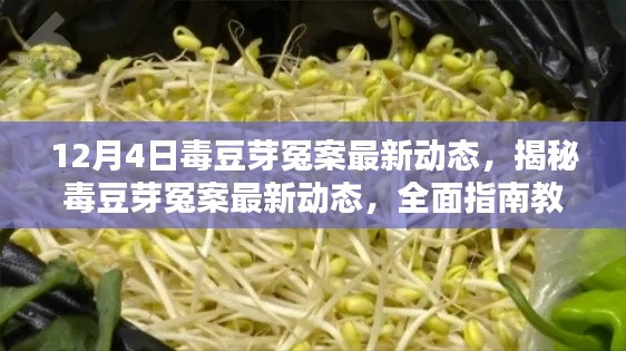 毒豆芽冤案最新进展揭秘,全面指南助你应对