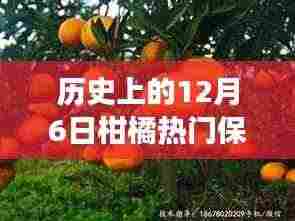 历史上的12月6日柑橘保果技术探寻之旅，自然美景与内心平静的交融力量
