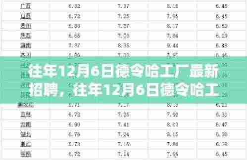 往年12月6日德令哈工厂最新招聘解析，人才招聘的利弊与个人观点