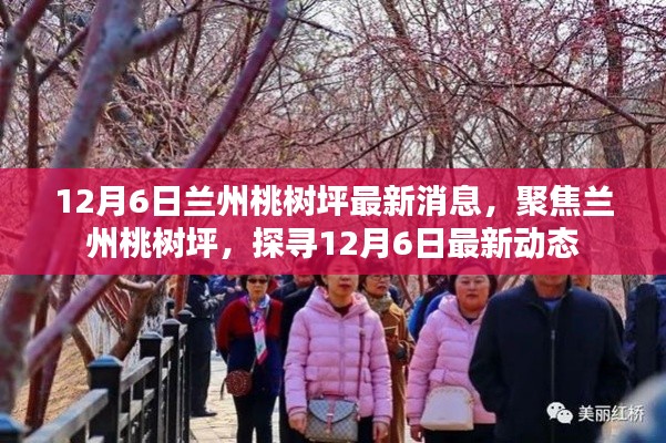 聚焦兰州桃树坪,12月6日最新动态揭秘