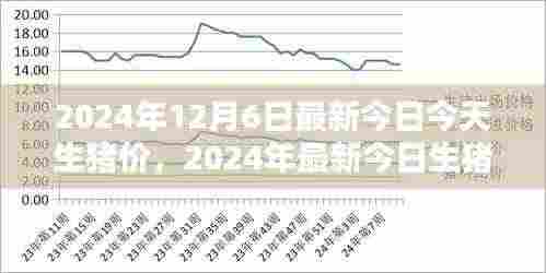 2024年最新今日生猪价格解析,入门指南与查询步骤