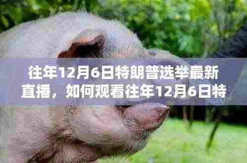 全步骤指南,观看往年12月6日特朗普选举最新直播回顾