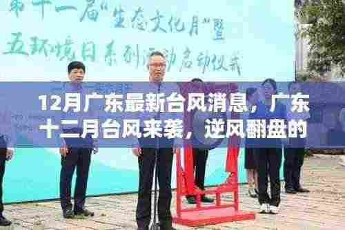 广东十二月台风来袭,逆风翻盘的力量与学习魅力展现