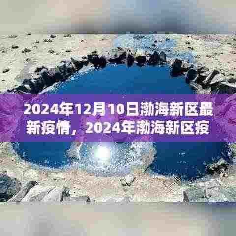 2024年渤海新区疫情现状与深度分析,影响及观点阐述