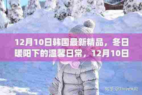 韩国温馨日常,冬日暖阳下的精品故事(12月10日)