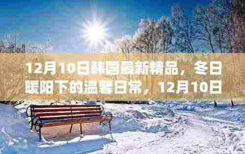 韩国温馨日常,冬日暖阳下的精品故事(12月10日)