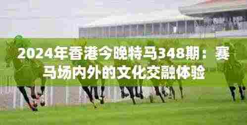 2024年香港今晚特马348期：赛马场内外的文化交融体验