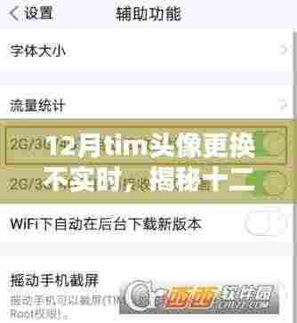 揭秘十二月头像更新之谜,如何应对Tim头像更换不实时的问题?
