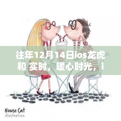 iOS龙虎斗与暖心时光,实时互动体验与温馨的陪伴