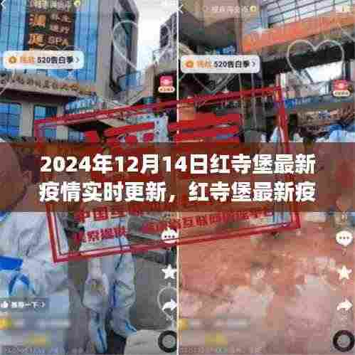 红寺堡最新疫情实时更新报告(聚焦解读,日期,2024年12月14日)