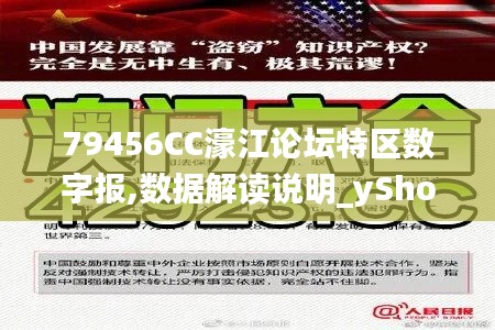 79456CC濠江论坛特区数字报,数据解读说明_yShop2.468