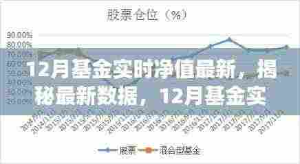 揭秘最新数据,深度解读12月基金实时净值变化报告