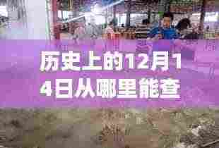 指尖上的羊肉价格动态,历史查询与未来交易风云揭秘
