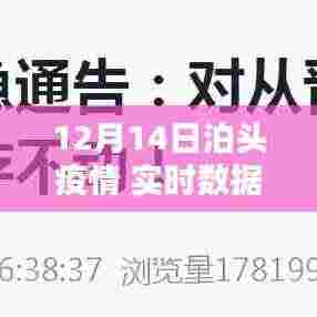 泊头疫情实时数据查询系统评测与介绍,最新数据深度解读