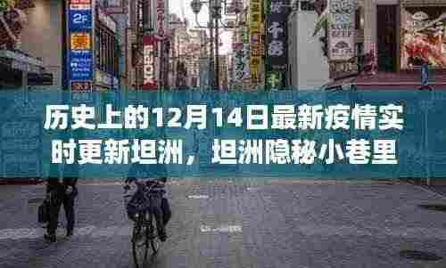 坦洲隐秘小巷的独特风味,十二月十四日疫情实时更新与故事揭秘