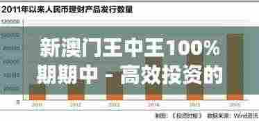 新澳门王中王100%期期中 - 高效投资的财富密码