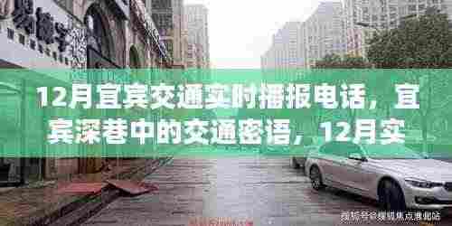 宜宾深巷交通密语,12月实时播报电话与隐藏小店的探索之旅