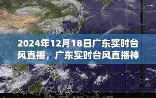 广东台风直播，科技前沿追踪体验