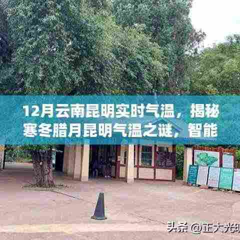 揭秘寒冬腊月昆明气温之谜,智能气象站记录下的云南昆明实时气温数据