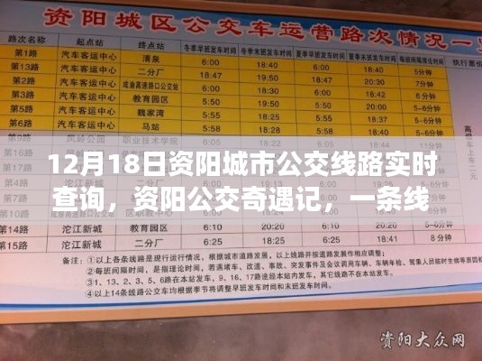 资阳公交奇遇记,温情陪伴的时光——12月18日资阳城市公交线路实时查询