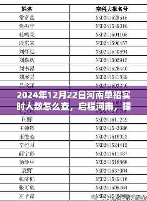 河南单招实时人数探寻之旅，启程探寻背后的自然秘境与心灵之旅（2024年12月22日）