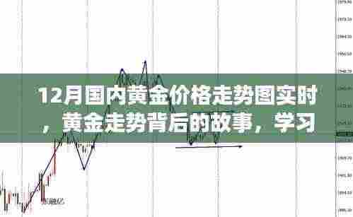 黄金走势揭秘,12月国内黄金价格动态与背后的故事,自信闪耀,成就无限可能