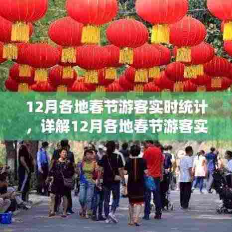 12月春节各地游客实时统计详解与步骤指南,技能进阶篇