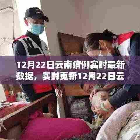 云南疫情实时更新，最新数据解析与科学防控助力抗疫