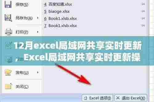 Excel局域网共享实时更新操作指南,从初学者到进阶用户的实用指南