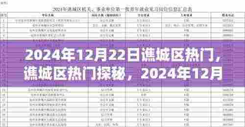 谯城区热门探秘，2024年12月22日精彩瞬间