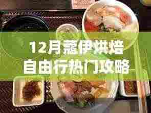 独家揭秘,12月蔻伊烘焙自由行终极攻略,深度评测与详细介绍