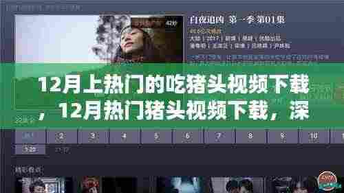 12月热门猪头视频下载,深度评测与介绍,不容错过的美食盛宴
