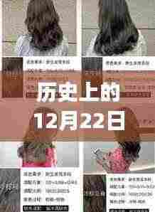 历史上的染发潮流回顾，12月22日热门染发推荐与详细教程，适合初学者与进阶用户参考