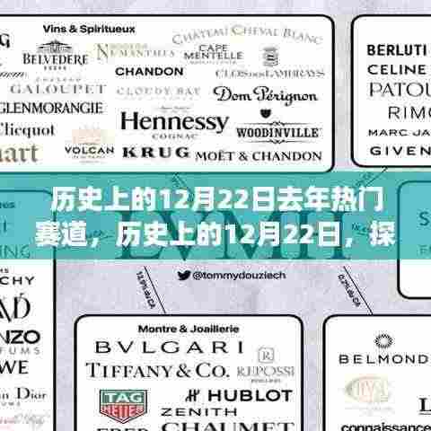 探寻去年热门赛道发展轨迹,历史上的12月22日回顾与展望
