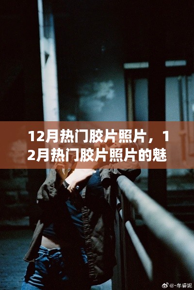 深入探究,12月热门胶片照片的魅力与价值——某某观点解析