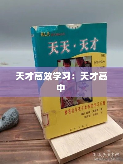 天才高效学习:天才高中