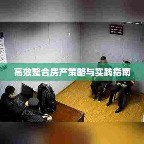 高效整合房产策略与实践指南