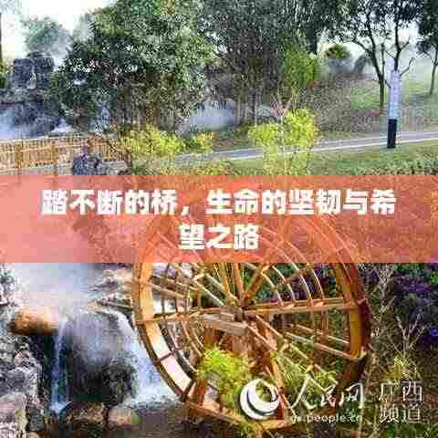 踏不断的桥，生命的坚韧与希望之路