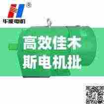 高效佳木斯电机批量定制,开启电机制造新纪元