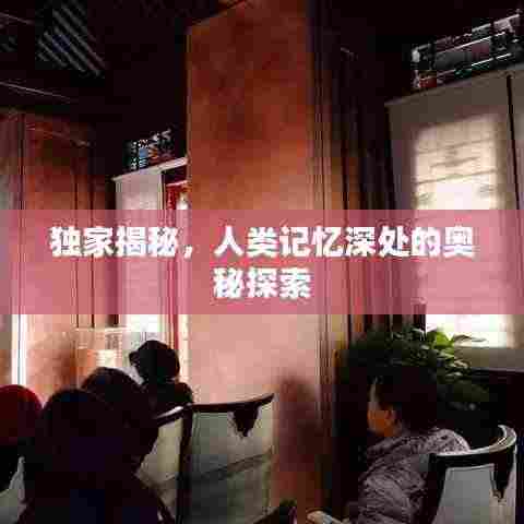 独家揭秘,人类记忆深处的奥秘探索