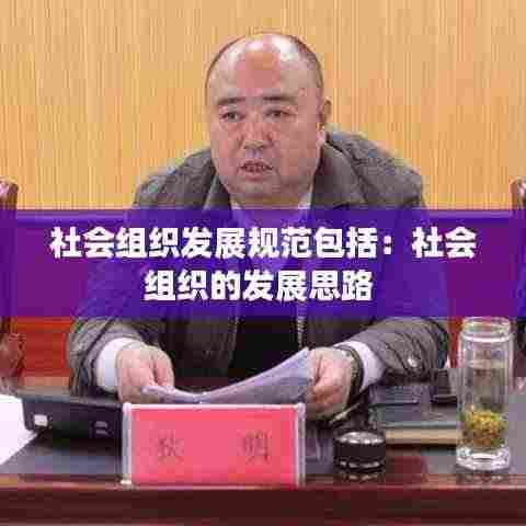社会组织发展规范包括：社会组织的发展思路 
