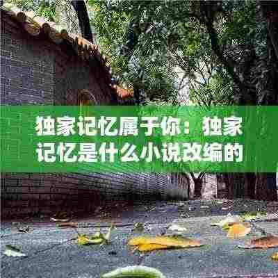 独家记忆属于你:独家记忆是什么小说改编的