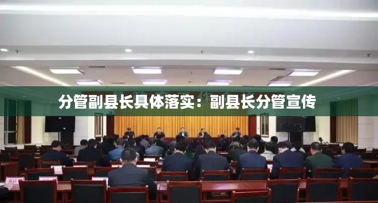 分管副县长具体落实:副县长分管宣传