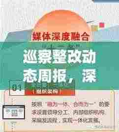 巡察整改动态周报,深度追踪落实进度,成效一目了然